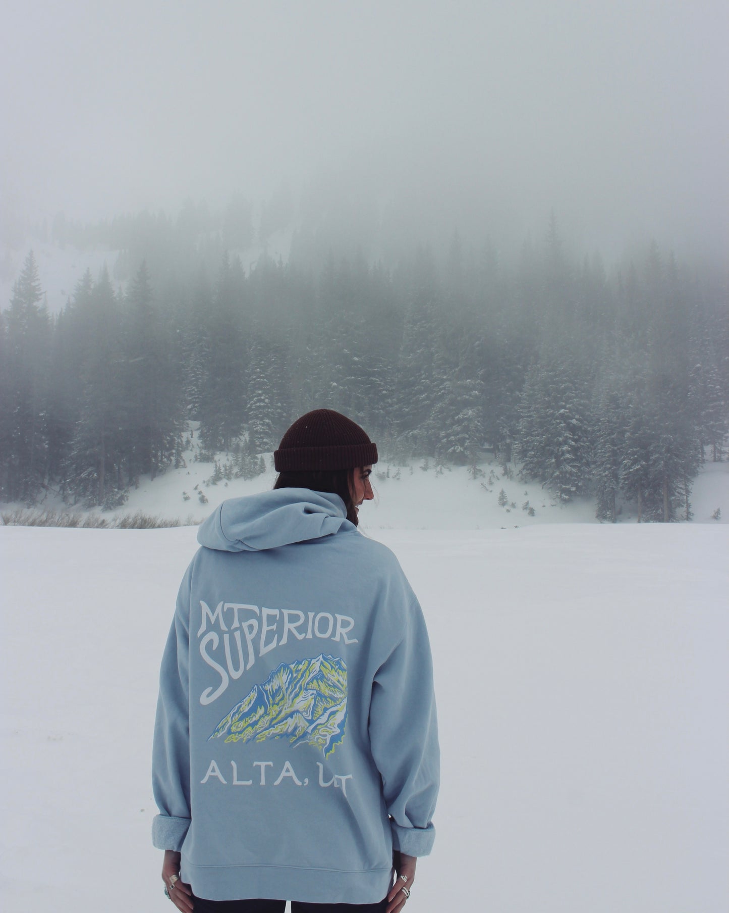 Superior Hoodie in Powder