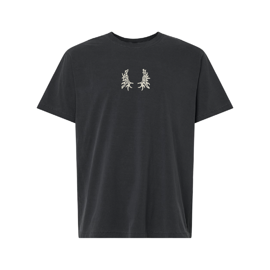Mt. Timpanogos Tee
